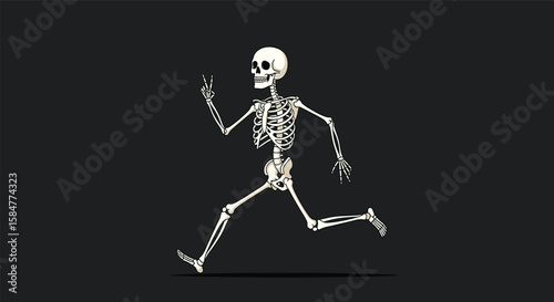Spooky Skeleton Character Animated Running and Jogging Motion Sprite for Games and Animation Projects