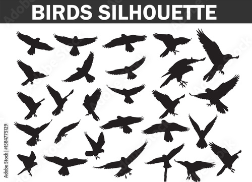 A large collection of diverse flying bird silhouettes, capturing various wing positions and flight patterns, perfect for nature, wildlife, and dynamic outdoor designs