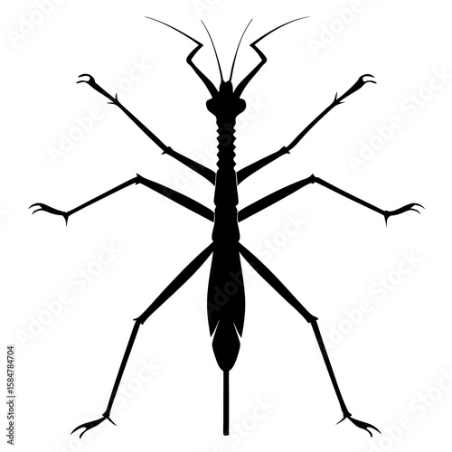 Discover a captivating black vector illustration of a stick insect, showcasing its unique camouflage and intricate details, perfect for nature enthusiasts and design projects, silhouette