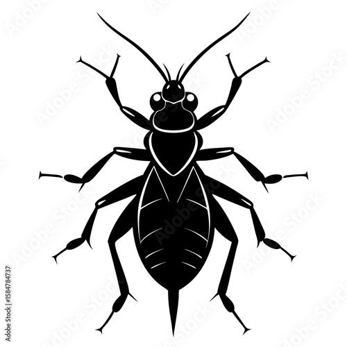 An illustrative black aphid vector artwork shows a detailed and isolated depiction of this tiny sap-sucking insect, perfect for educational or design projects, silhouette
