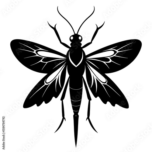 A detailed black vector illustration features a mayfly, capturing its delicate wings and intricate body structure, ideal for entomology resources and nature designs, silhouette