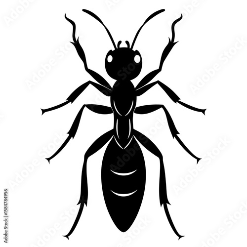 A formidable bullet ant in striking black demonstrates its power and danger within its natural habitat, a true marvel of insect life, silhouette