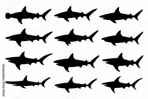 Twelve shark silhouettes arranged in a grid pattern, showcasing various shark species including hammerhead and great white.