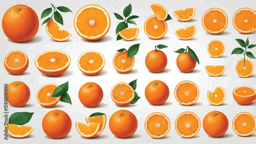 Oranges Fruit Vector