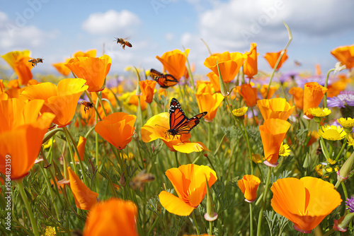 Vibrant California Poppy Field with Butterflies and Bees