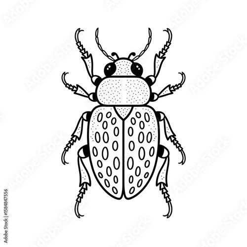 beetle illustration vector style colouring page 
