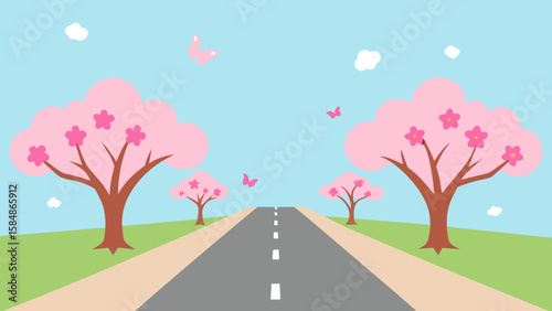 spring suburban road cherry trees bloom