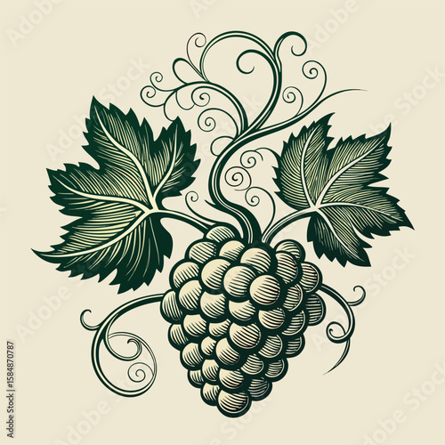 Vine-ripened grape bunches with leaves, a vibrant vector illustration of nature's sweet fruit, perfect for wine and harvest designs