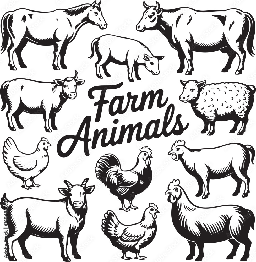 Fototapeta premium Farm Animals Collection Black And White horse sheep