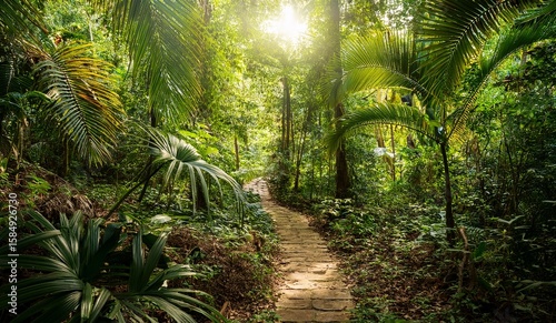 Lush Rainforest Path Journey Through the Dense Jungle, Sunlight Filtering Through the Emerald Canopy and Verdant Foliage