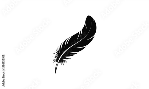 Elegant feather design silhouette