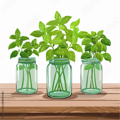 aromatic basil plants in vintage mason jars on a rustic wooden table