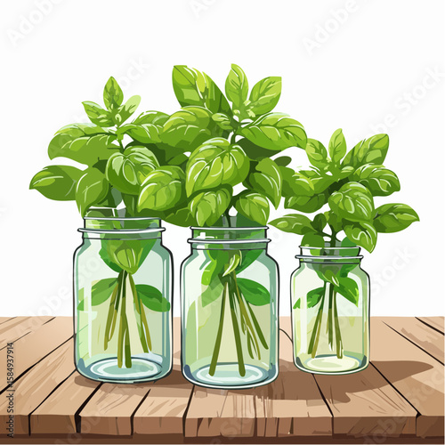 aromatic basil plants in vintage mason jars on a rustic wooden table