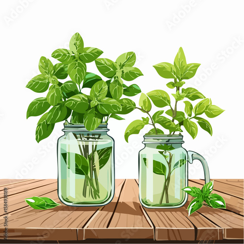 aromatic basil plants in vintage mason jars on a rustic wooden table