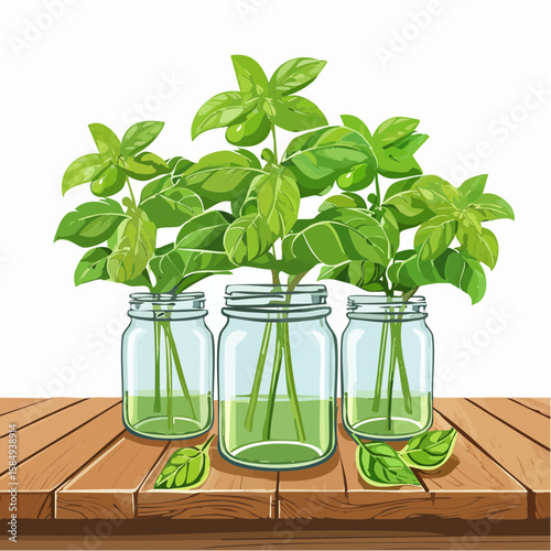 aromatic basil plants in vintage mason jars on a rustic wooden table