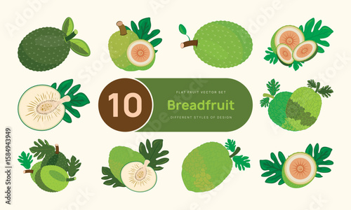 10 Breadfruit Vector Design Set – Whole, Sliced & Tropical Styles