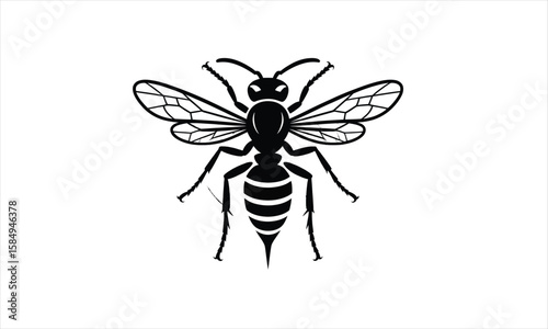 Insect wasp silhouette design