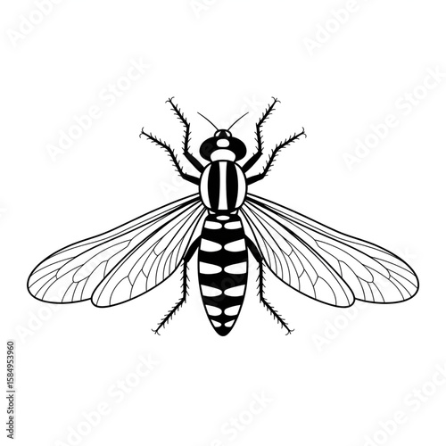 greenfly illustration vector style colouring page 