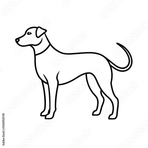 vector illustration of a dog