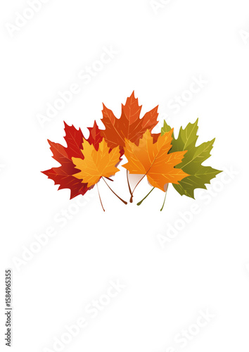 紅葉したモミジの葉