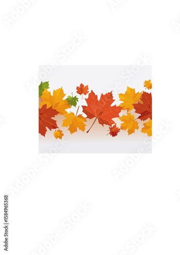 紅葉したモミジの葉
