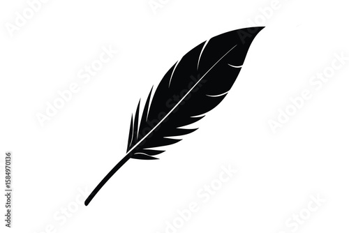 feather and ink