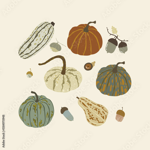 Hand drawn pumpkins and acorns set, vector illustrtaion . Vector fall illustrtaion, cartoon nature.