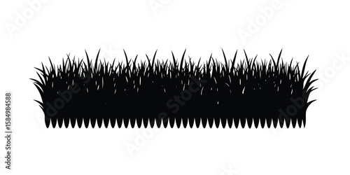 comb and brush