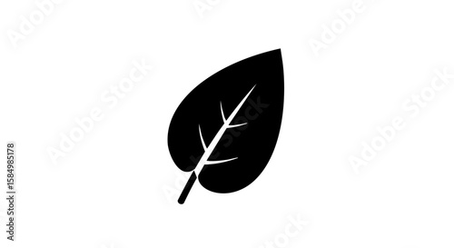 Simple and elegant: a solitary leaf against a plain background.
