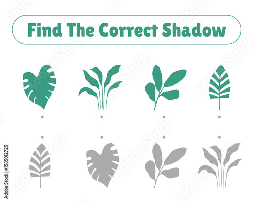 Find the correct shadow. A shadow matching game featuring stylized tropical leaves.