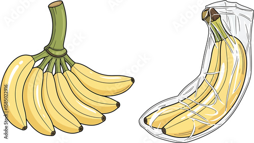 Illustration of a bunch of ripe yellow bananas, one unpackaged and the other packaged in clear plastic.