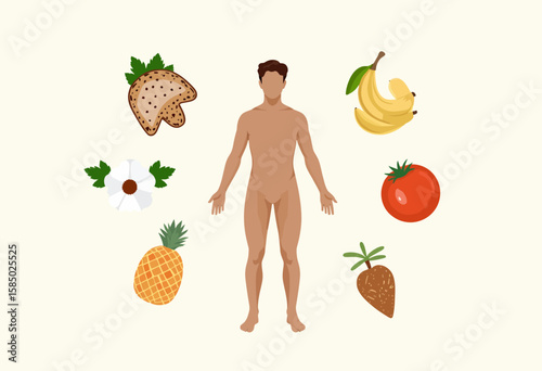 Anatomical illustration of a man surrounded by various fruits  