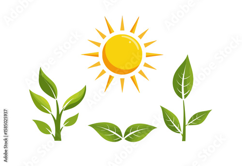 Sun and green leaves in simple flat design on white background  