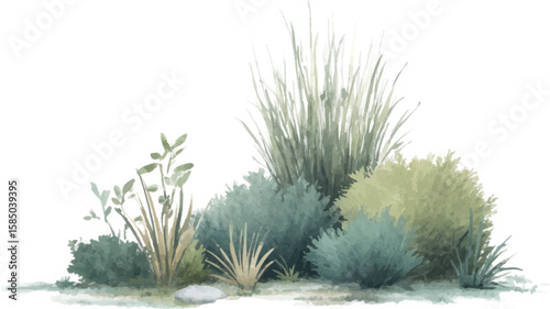 snow covered pine needles