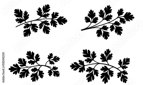 Parsley herb icon set in black silhouette style for natural ingredient and culinary design
