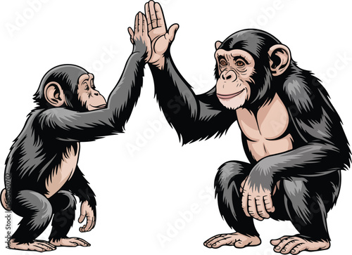 Two chimpanzees high-fiving each other Transparent png vector isolated