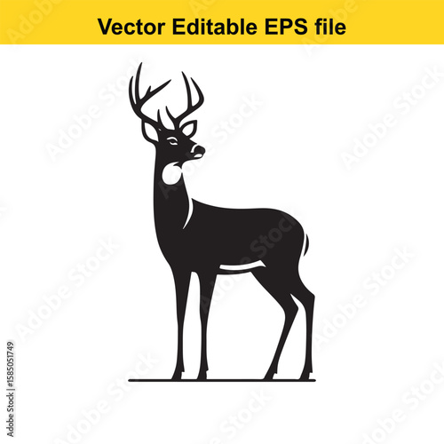 A standing stag with large antlers, isolated on white background