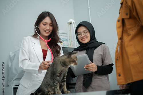 Veterinarian Examining Cat During Routine Check-up in Clinic