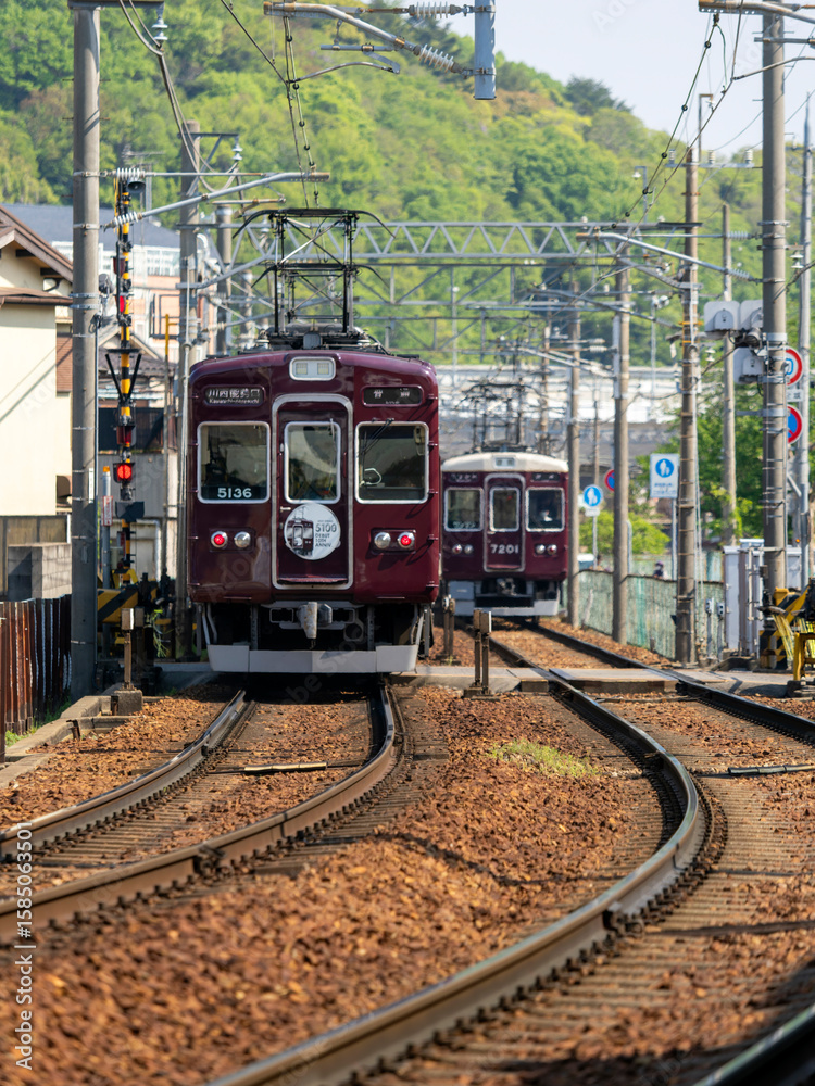 Naklejka premium すれ違う能勢電鉄の電車