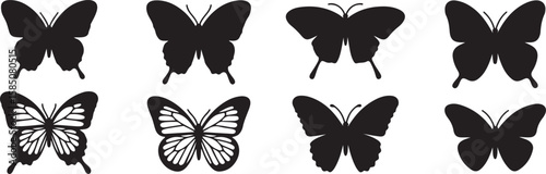 Black butterfly silhouettes with varied wing patterns and shapes white wings vector, isolated on white background, cutout, png, clipping path, transparent, image, download, 2025,2026 download
