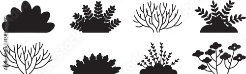 Black silhouettes of various plants and floral elements botanical nature vector, isolated on white background, cutout, png, clipping path, transparent, image, download, 2025,2026 download