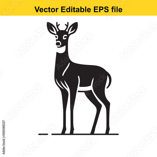 A young deer with small antlers standing in a side view