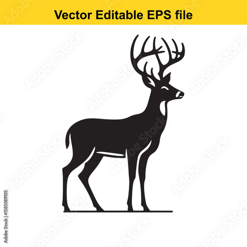 A majestic stag with large antlers standing, isolated on white