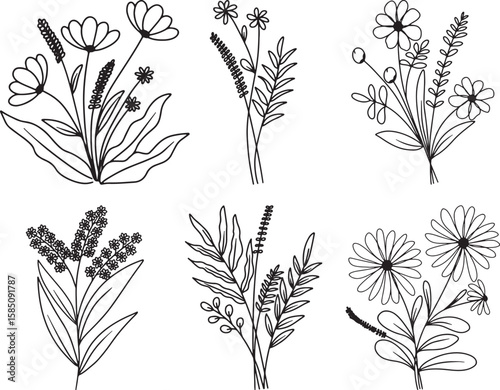 Flower abstract line arts, hand drawn bouquets of herbs, flowers, leaves and branches, vector illustration