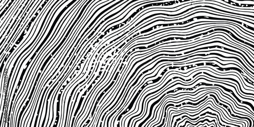 Log cut, wood texture, tree rings pattern, shades of gray, rough vector background