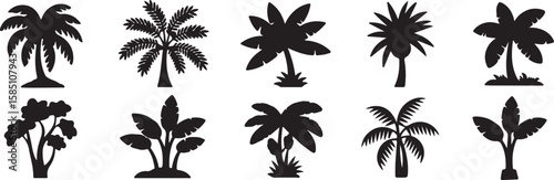 Tropical trees silhouettes palm foliage vector, isolated on white background, cutout, png, clipping path, transparent, image, download, 2025,2026 download