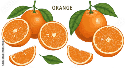 Realistic orange with leaves and slices on white background