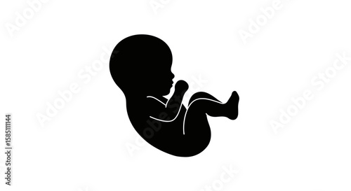 Silhouette of fetus in womb on white background