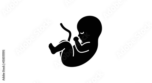 Silhouette of human fetus with umbilical cord on white background