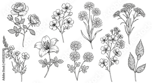 Intricate black and white floral designs featuring roses and wildflowers